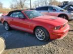 2008 Ford Mustang Shelby GT500