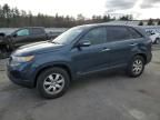 2011 KIA Sorento Base