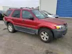 2005 Ford Escape XLT