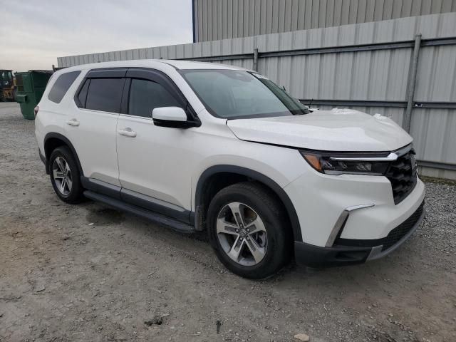 2023 Honda Pilot EXL