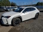 2021 Lexus UX 250H