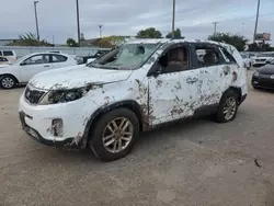 KIA salvage cars for sale: 2014 KIA Sorento LX