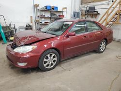 Toyota salvage cars for sale: 2005 Toyota Camry LE