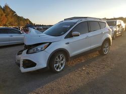 Salvage cars for sale at Shreveport, LA auction: 2013 Ford Escape Titanium