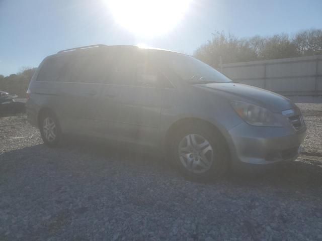 2005 Honda Odyssey EXL