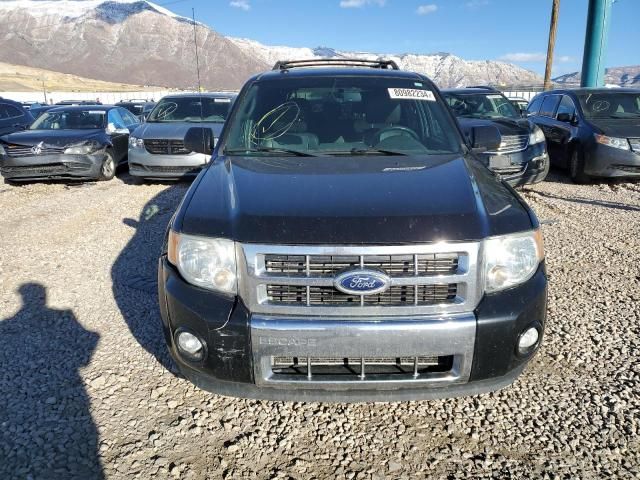 2011 Ford Escape Limited