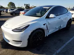 Salvage cars for sale from Copart Van Nuys, CA: 2020 Tesla Model Y