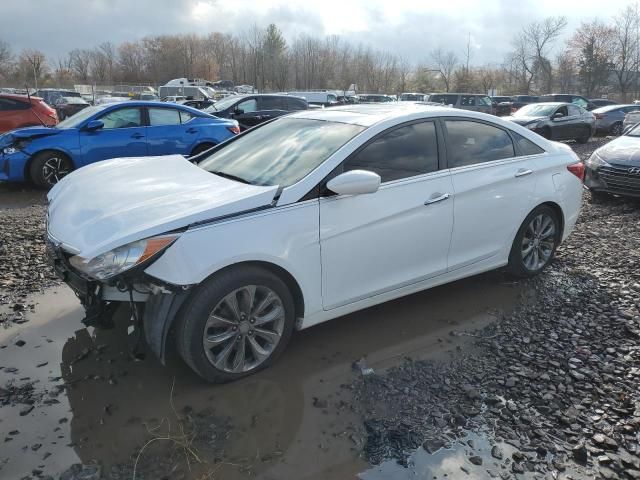 2011 Hyundai Sonata SE