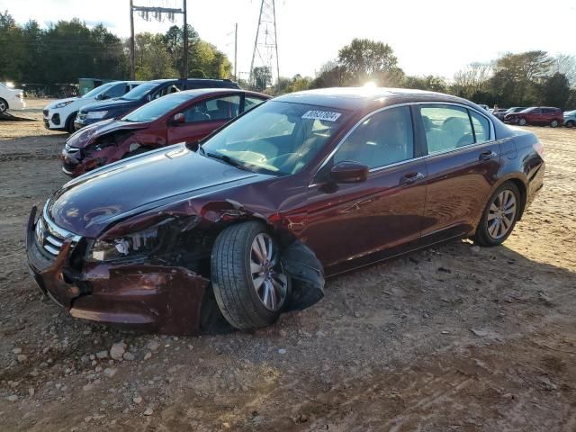 2011 Honda Accord EXL