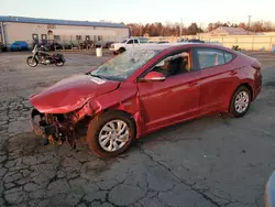 Salvage cars for sale at Pennsburg, PA auction: 2019 Hyundai Elantra SE