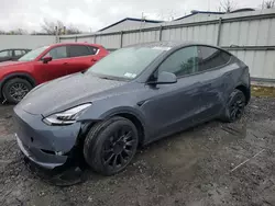 Vehiculos salvage en venta de Copart Albany, NY: 2023 Tesla Model Y