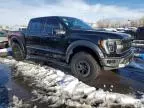 2023 Ford F150 Raptor