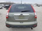 2007 Honda CR-V EX