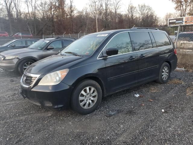 2008 Honda Odyssey EXL