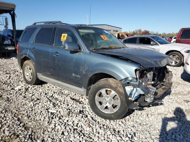 2011 Ford Escape Hybrid