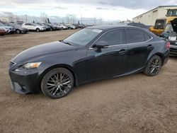 2014 Lexus IS 250 en venta en Rocky View County, AB