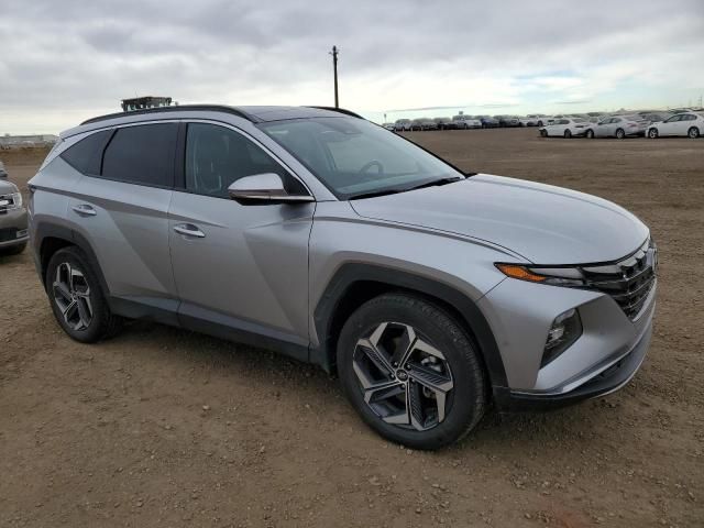 2023 Hyundai Tucson Luxury