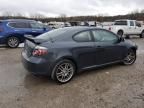 2010 Scion TC