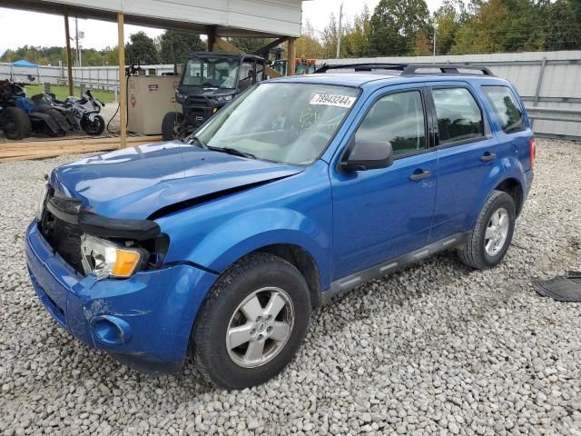 2012 Ford Escape XLS