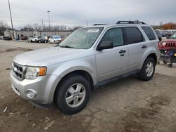 2012 Ford Escape XLT en venta en Fort Wayne, IN