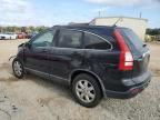 2009 Honda CR-V EXL