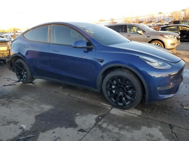 2020 Tesla Model Y