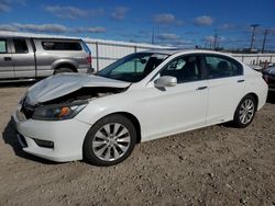 Clean Title Cars for sale at auction: 2013 Honda Accord EXL