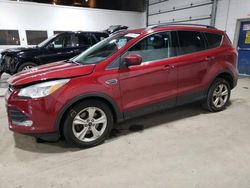 2016 Ford Escape SE en venta en Blaine, MN