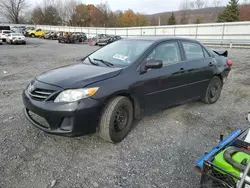 Toyota salvage cars for sale: 2013 Toyota Corolla Base