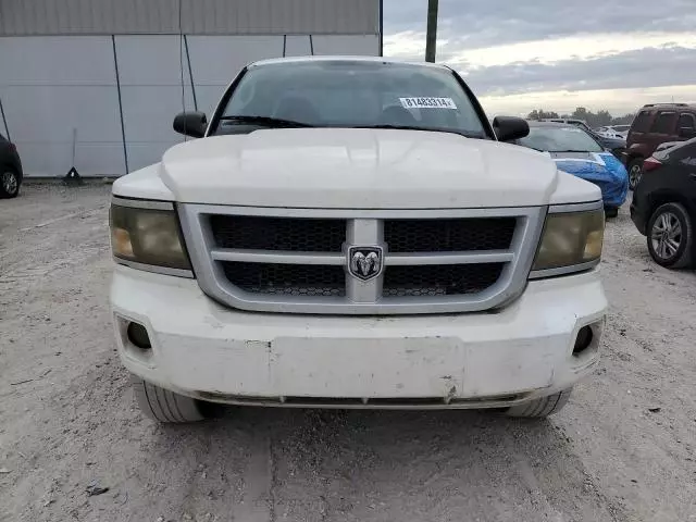 2009 Dodge Dakota SXT