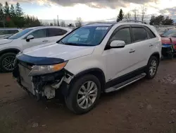 KIA salvage cars for sale: 2011 KIA Sorento EX