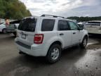 2008 Ford Escape XLT