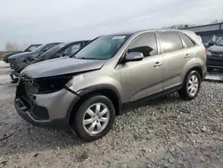 Carros salvage sin ofertas aún a la venta en subasta: 2011 KIA Sorento Base