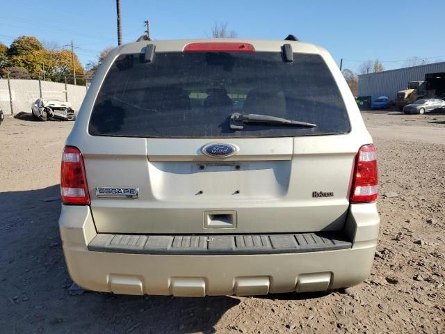 2011 Ford Escape XLT