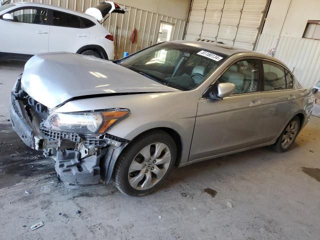 2010 Honda Accord EXL