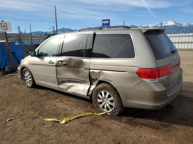 2010 Honda Odyssey EXL