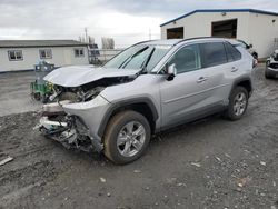 Salvage cars for sale at Airway Heights, WA auction: 2023 Toyota Rav4 LE