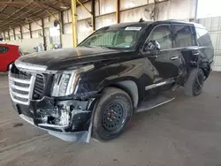 Cadillac salvage cars for sale: 2018 Cadillac Escalade Luxury