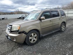 Honda salvage cars for sale: 2009 Honda Pilot EXL