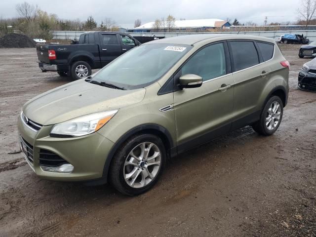 2013 Ford Escape SEL