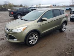 Vehiculos salvage en venta de Copart Columbia Station, OH: 2013 Ford Escape SEL