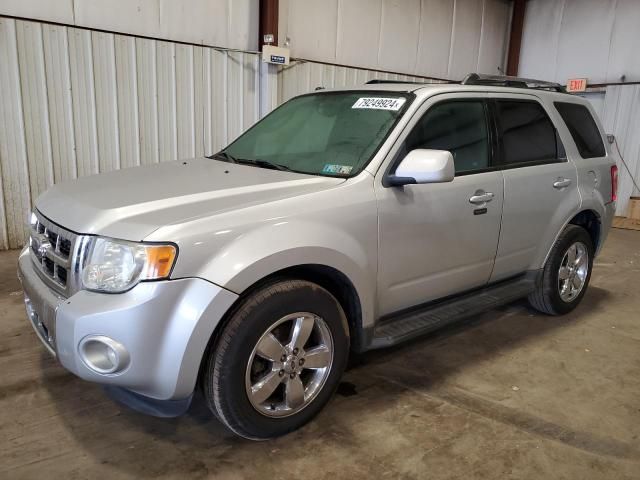 2009 Ford Escape Limited