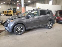 2017 Toyota Rav4 XLE en venta en Ham Lake, MN