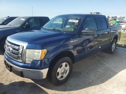 Salvage cars for sale at Riverview, FL auction: 2010 Ford F150 Supercrew