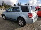 2008 Ford Escape HEV