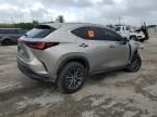 2024 Lexus NX 250 Premium