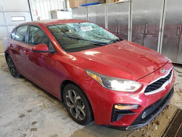 2019 KIA Forte FE