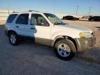 2006 Ford Escape XLT