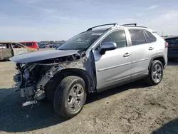 Toyota salvage cars for sale: 2019 Toyota Rav4 XLE