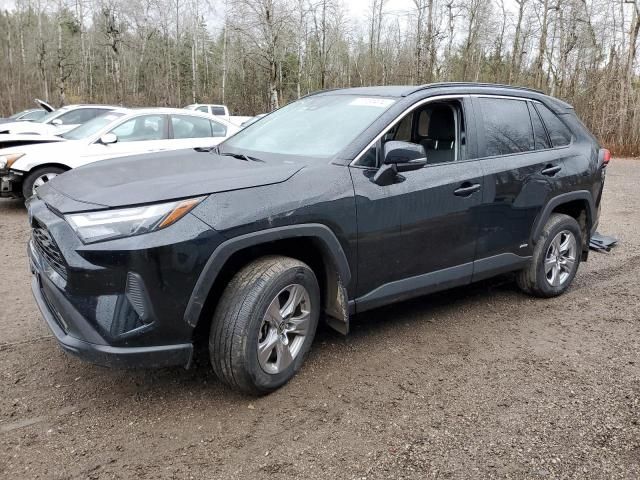 2023 Toyota Rav4 XLE